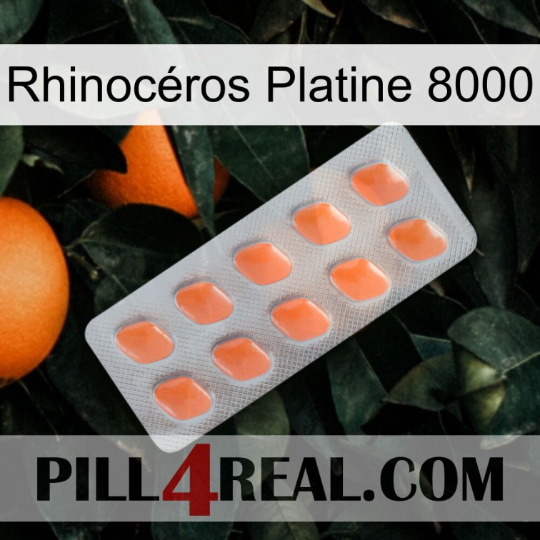 Rhinocéros Platine 8000 26